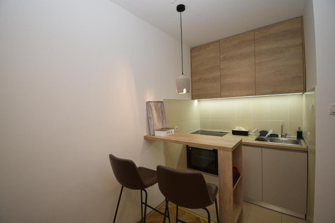 Studio Apartment Art Zone 波德戈里察 外观 照片