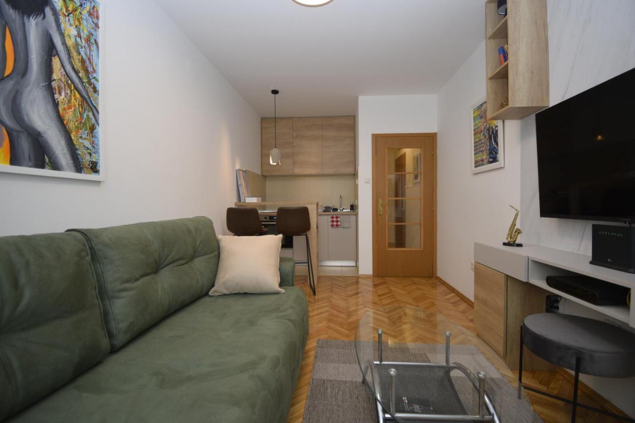 Studio Apartment Art Zone 波德戈里察 外观 照片