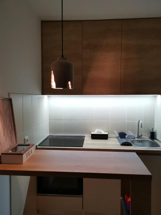Studio Apartment Art Zone 波德戈里察 外观 照片